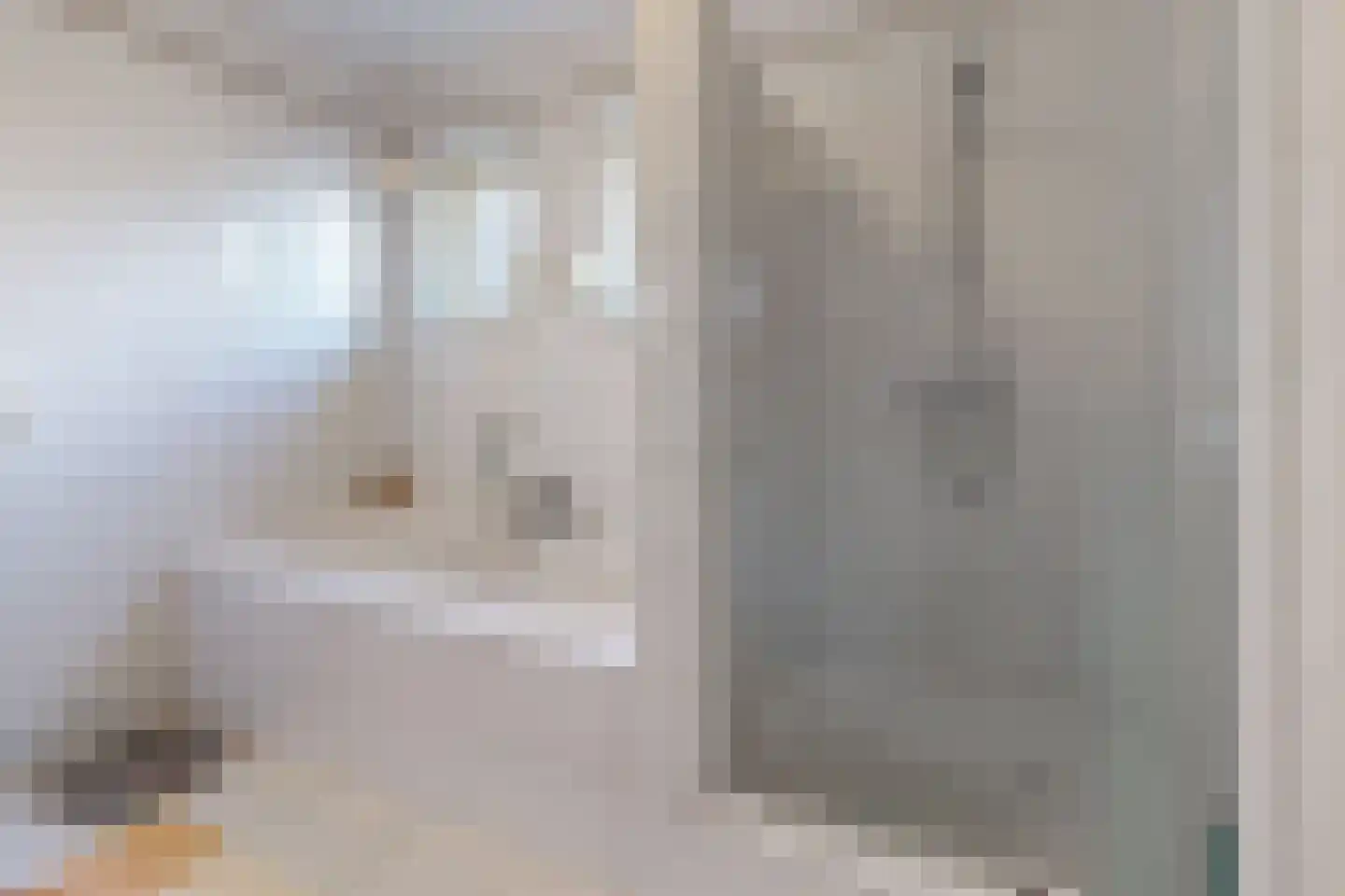 Oesterzwam 33 Standdaarbuiten thumbnail 17
