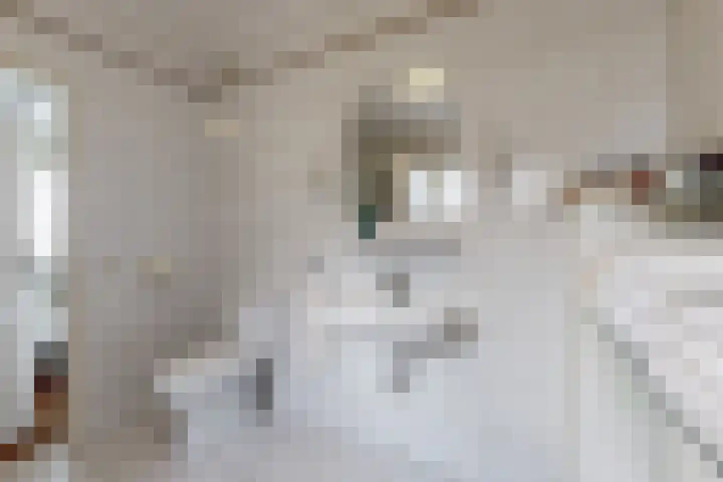 Oesterzwam 33 Standdaarbuiten thumbnail 19