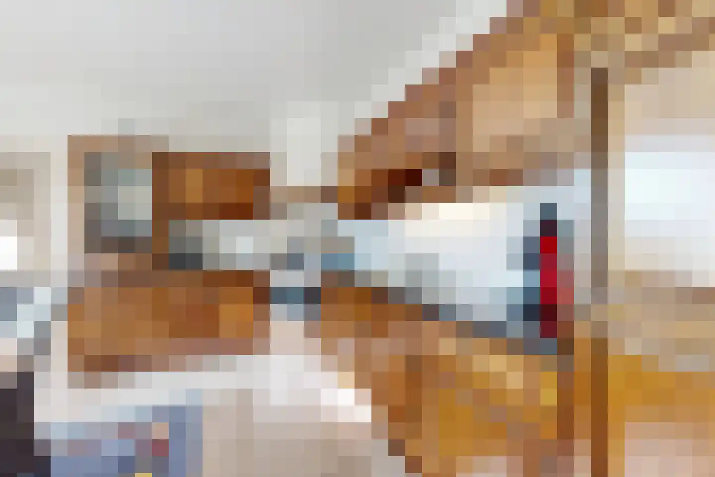 Oesterzwam 33 Standdaarbuiten thumbnail 36