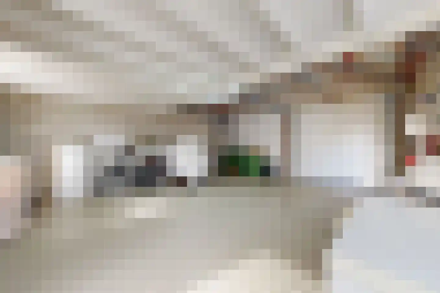 Oesterzwam 33 Standdaarbuiten thumbnail 46