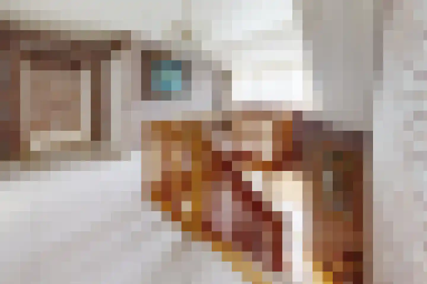 Oesterzwam 33 Standdaarbuiten thumbnail 49