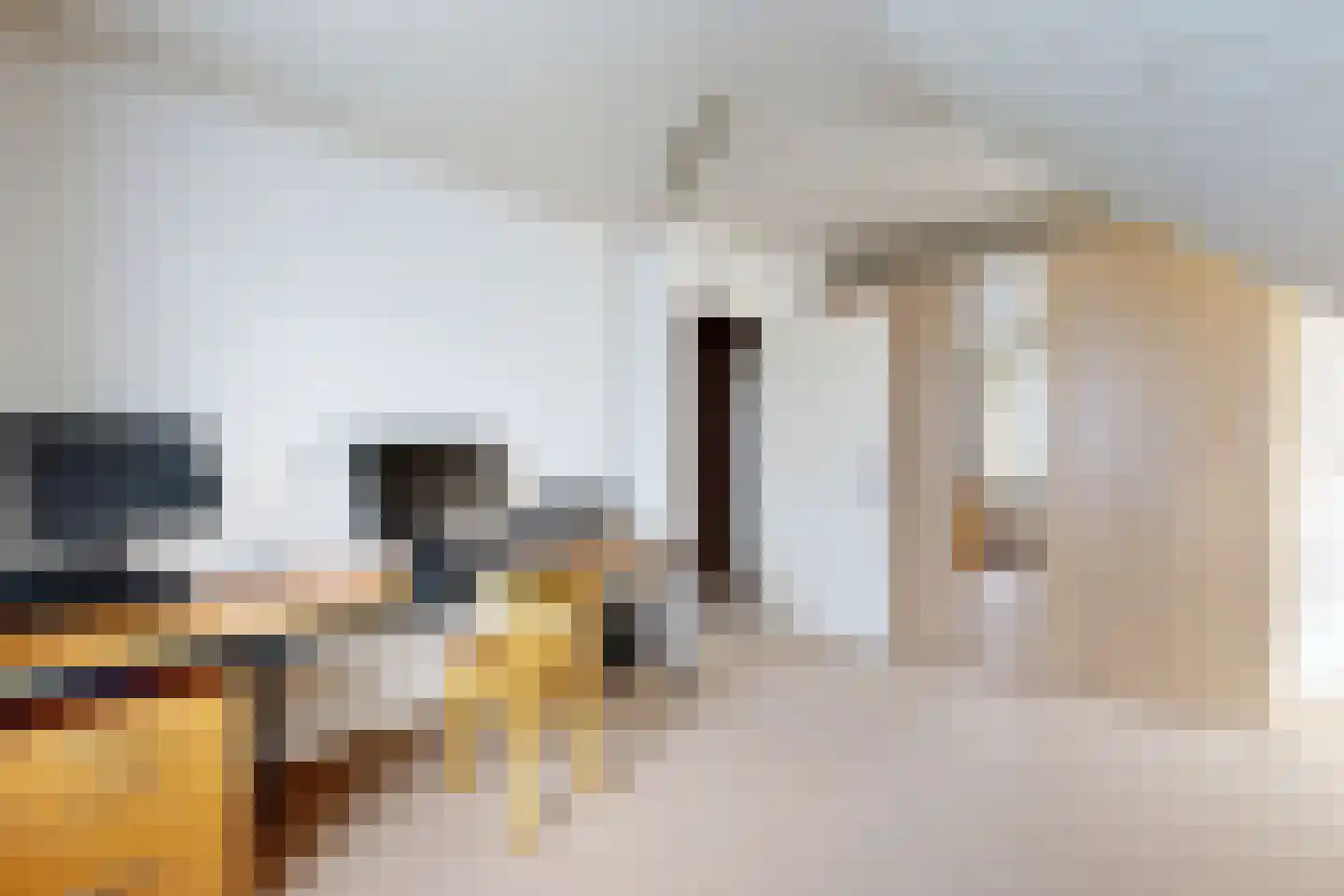 Oesterzwam 33 Standdaarbuiten thumbnail 64
