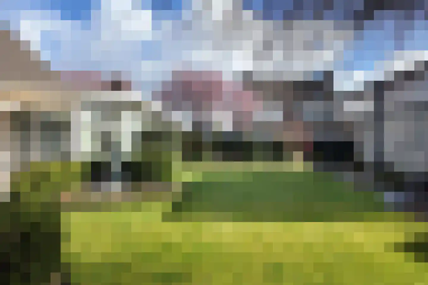 Oesterzwam 33 Standdaarbuiten thumbnail 71