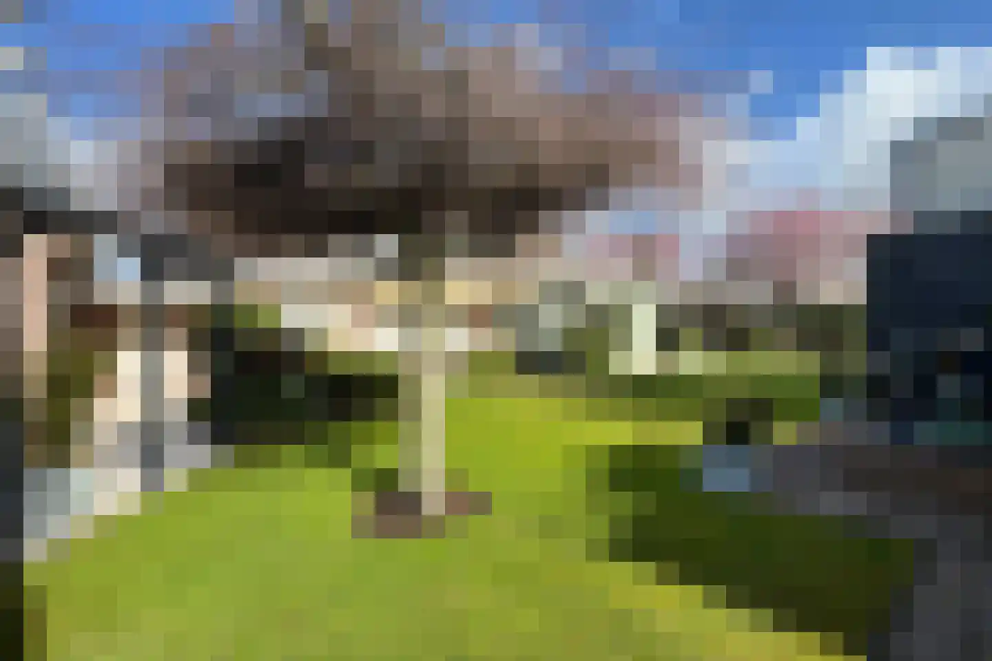 Oesterzwam 33 Standdaarbuiten thumbnail 73