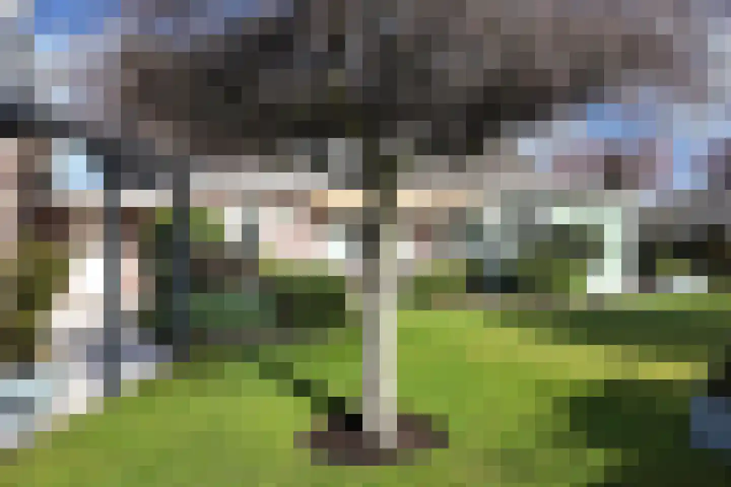 Oesterzwam 33 Standdaarbuiten thumbnail 74