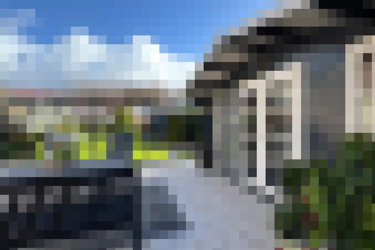 Oesterzwam 33 Standdaarbuiten thumbnail 78