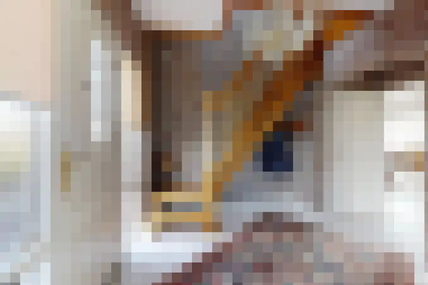 Oesterzwam 33 Standdaarbuiten thumbnail 8