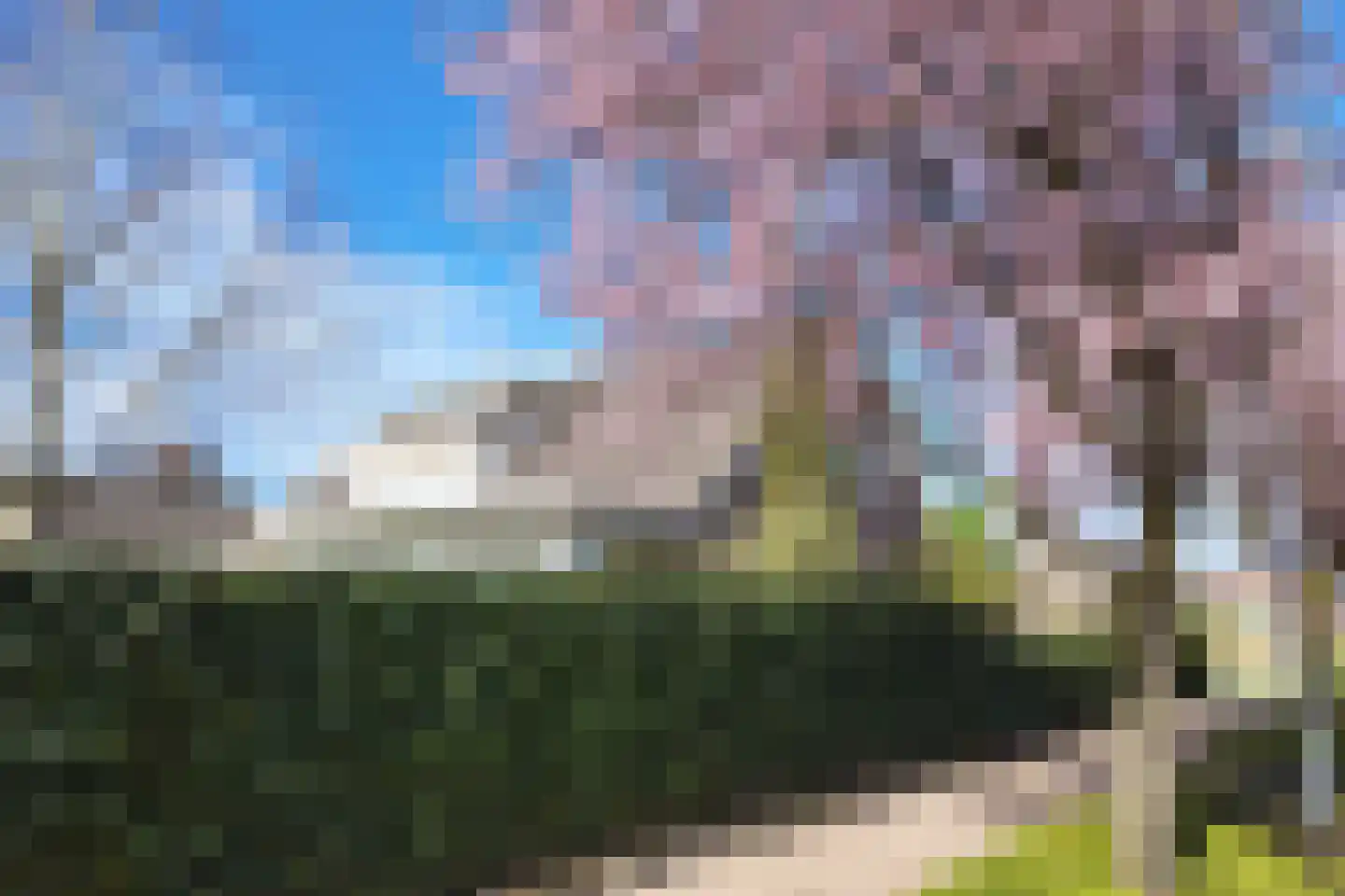 Oesterzwam 33 Standdaarbuiten thumbnail 84