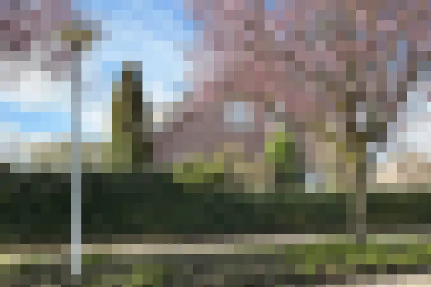 Oesterzwam 33 Standdaarbuiten thumbnail 86