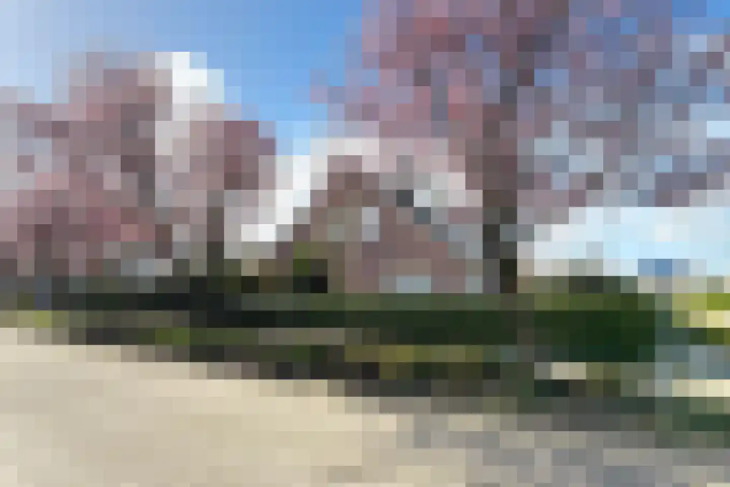 Oesterzwam 33 Standdaarbuiten thumbnail 87