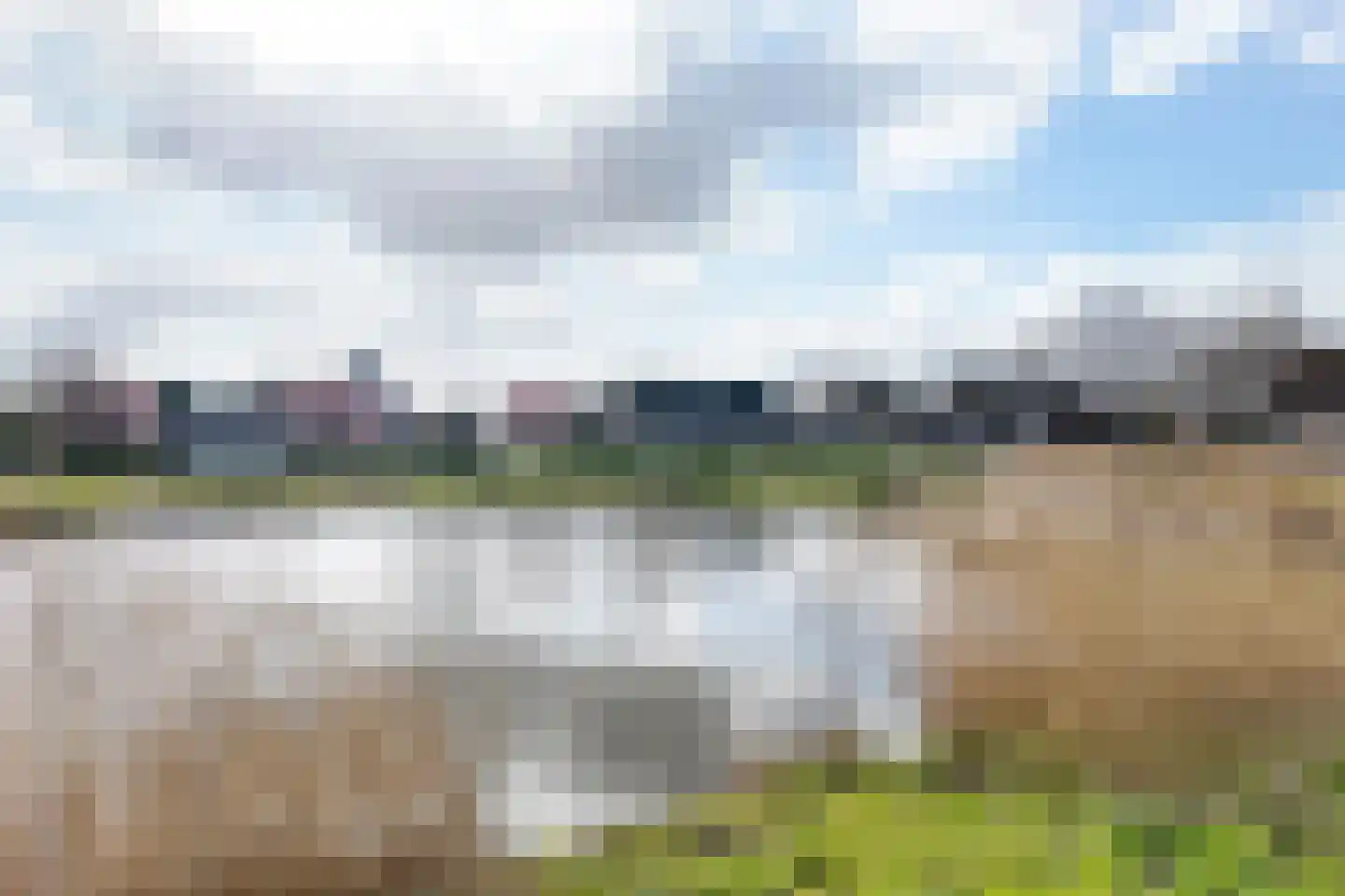 Oesterzwam 33 Standdaarbuiten thumbnail 88