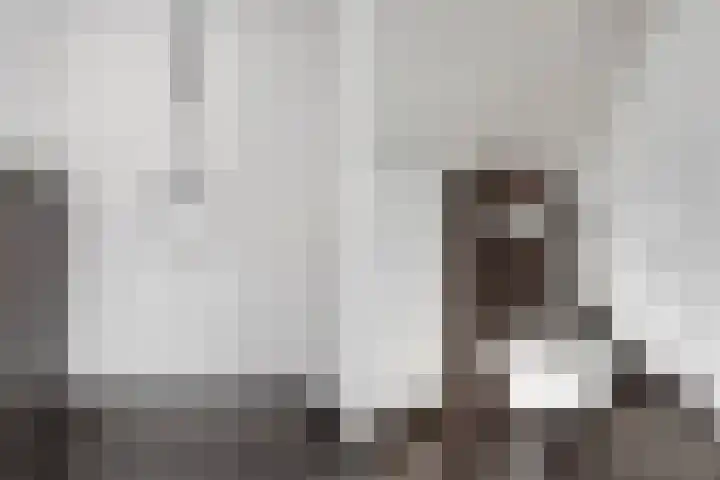 Oetbrink 17 Daarle thumbnail 27