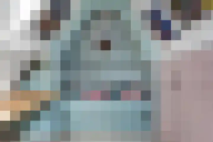 Oetbrink 17 Daarle thumbnail 37