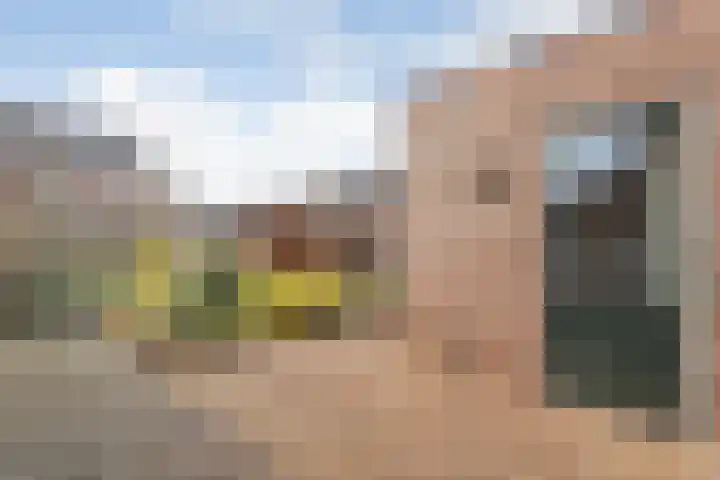 Oetbrink 17 Daarle thumbnail 40