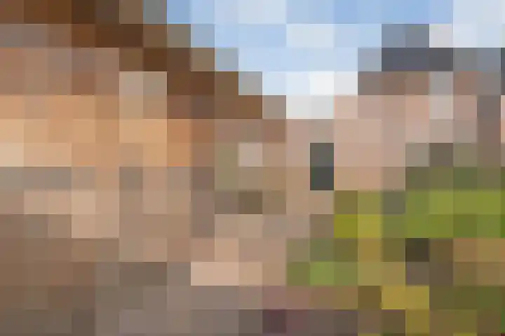 Oetbrink 17 Daarle thumbnail 43