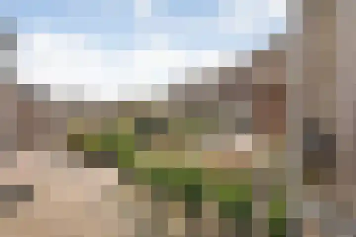 Oetbrink 17 Daarle thumbnail 46