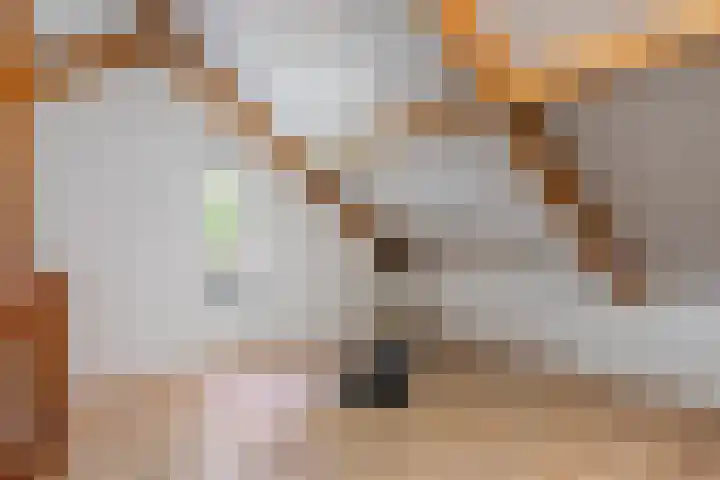 Oetbrink 32 Daarle thumbnail 14
