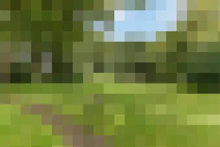 Oetbrink 32 Daarle thumbnail 16
