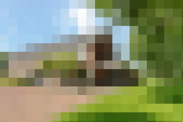 Oetbrink 32 Daarle thumbnail 23
