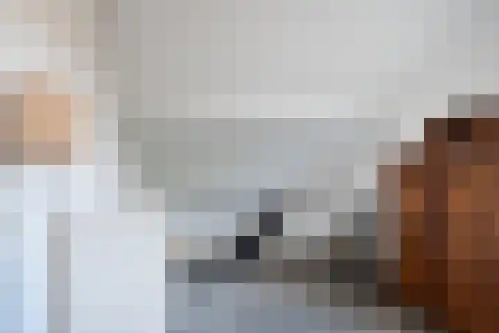 Oetelaarsestraat 21 Schijndel thumbnail 25