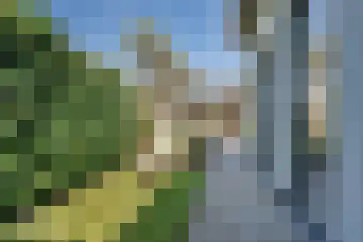 Oetelaarsestraat 21 Schijndel thumbnail 38