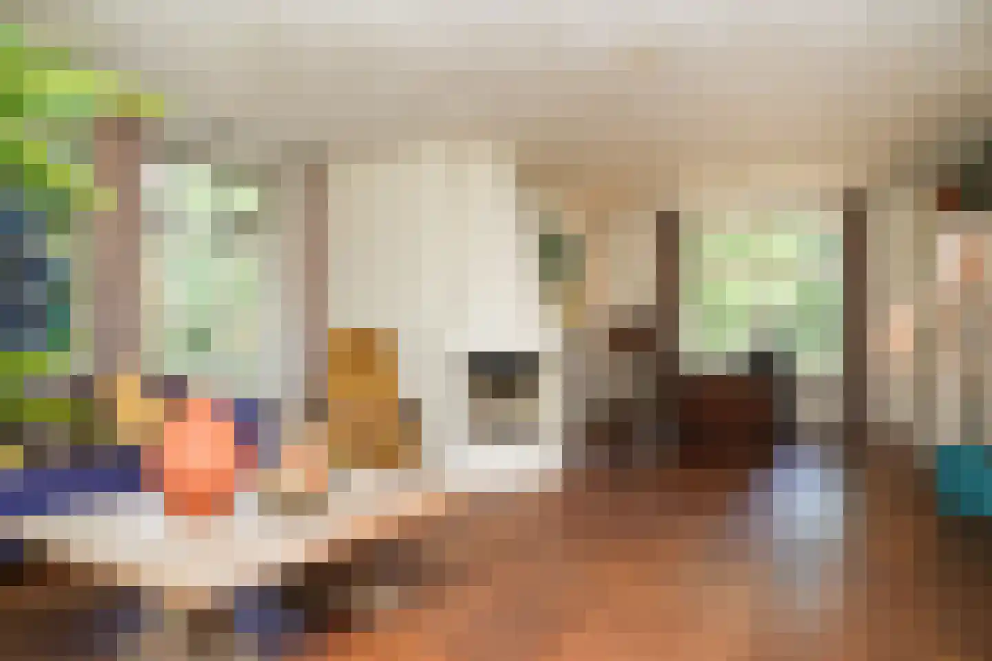 Oetelaarsestraat 4 Schijndel thumbnail 10
