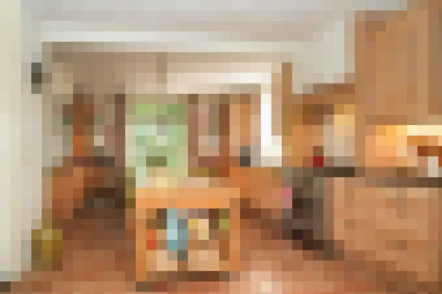Oetelaarsestraat 4 Schijndel thumbnail 19