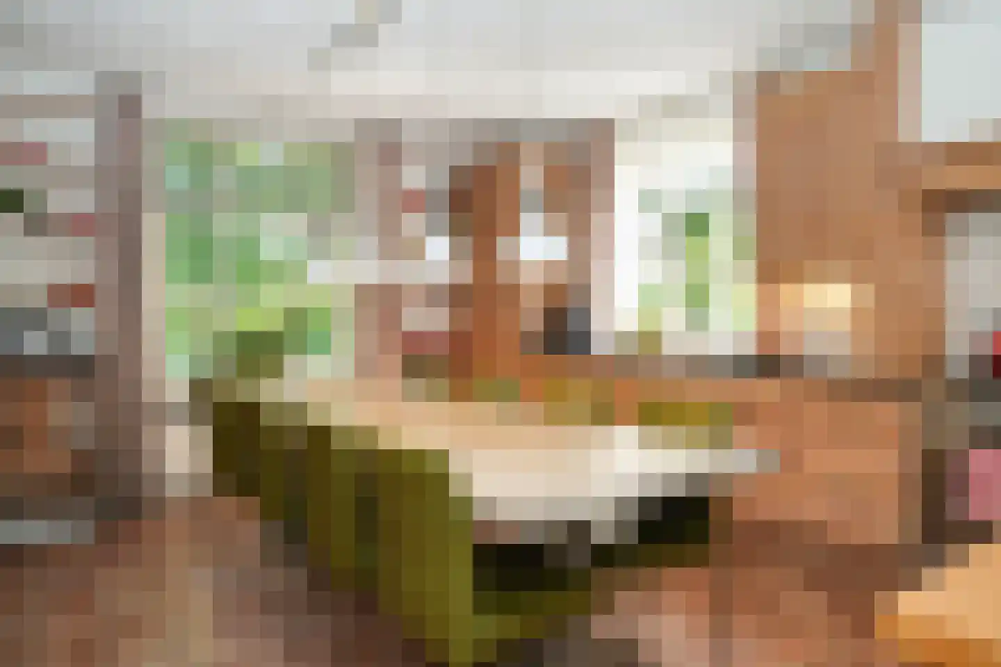 Oetelaarsestraat 4 Schijndel thumbnail 20