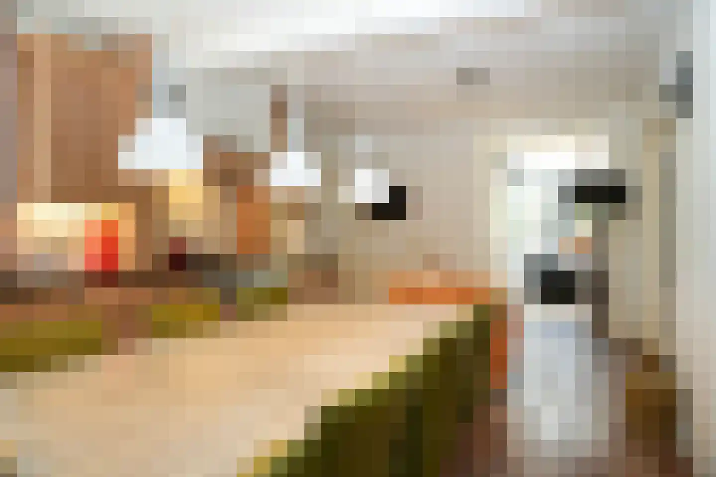 Oetelaarsestraat 4 Schijndel thumbnail 21