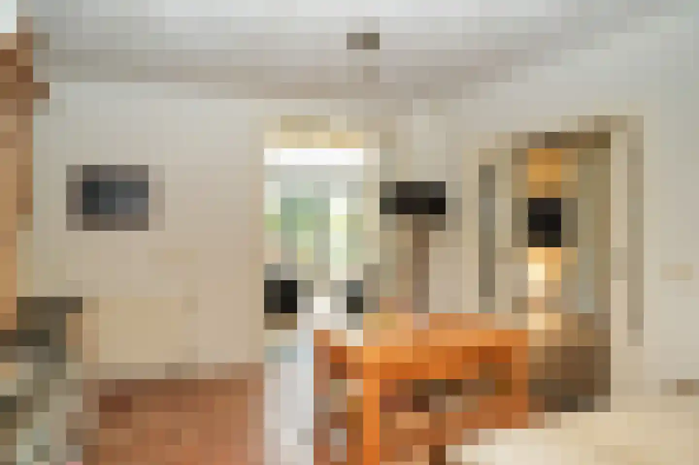 Oetelaarsestraat 4 Schijndel thumbnail 23