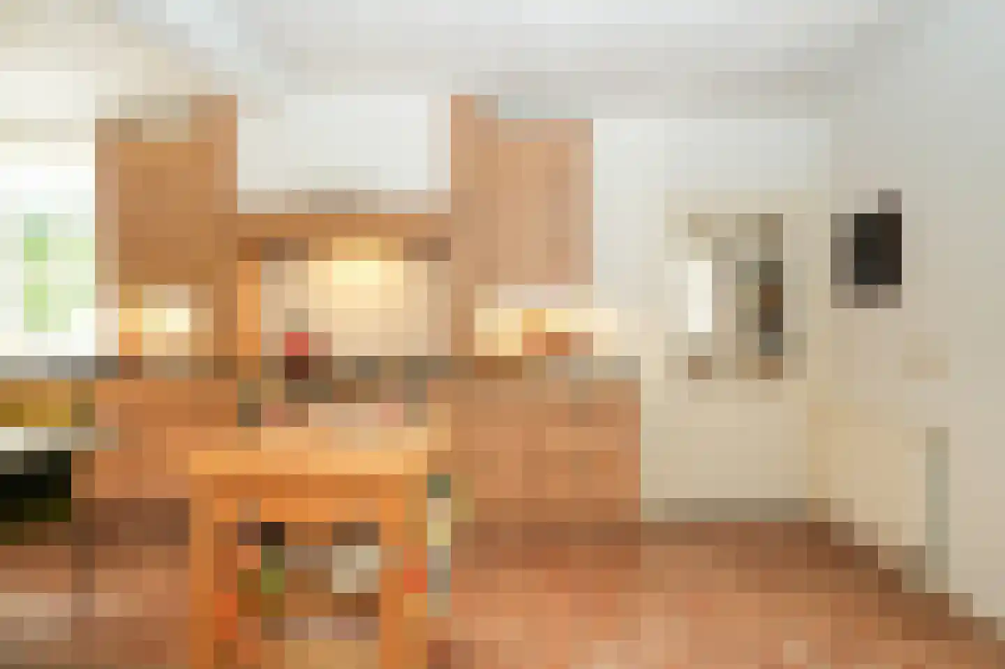 Oetelaarsestraat 4 Schijndel thumbnail 24