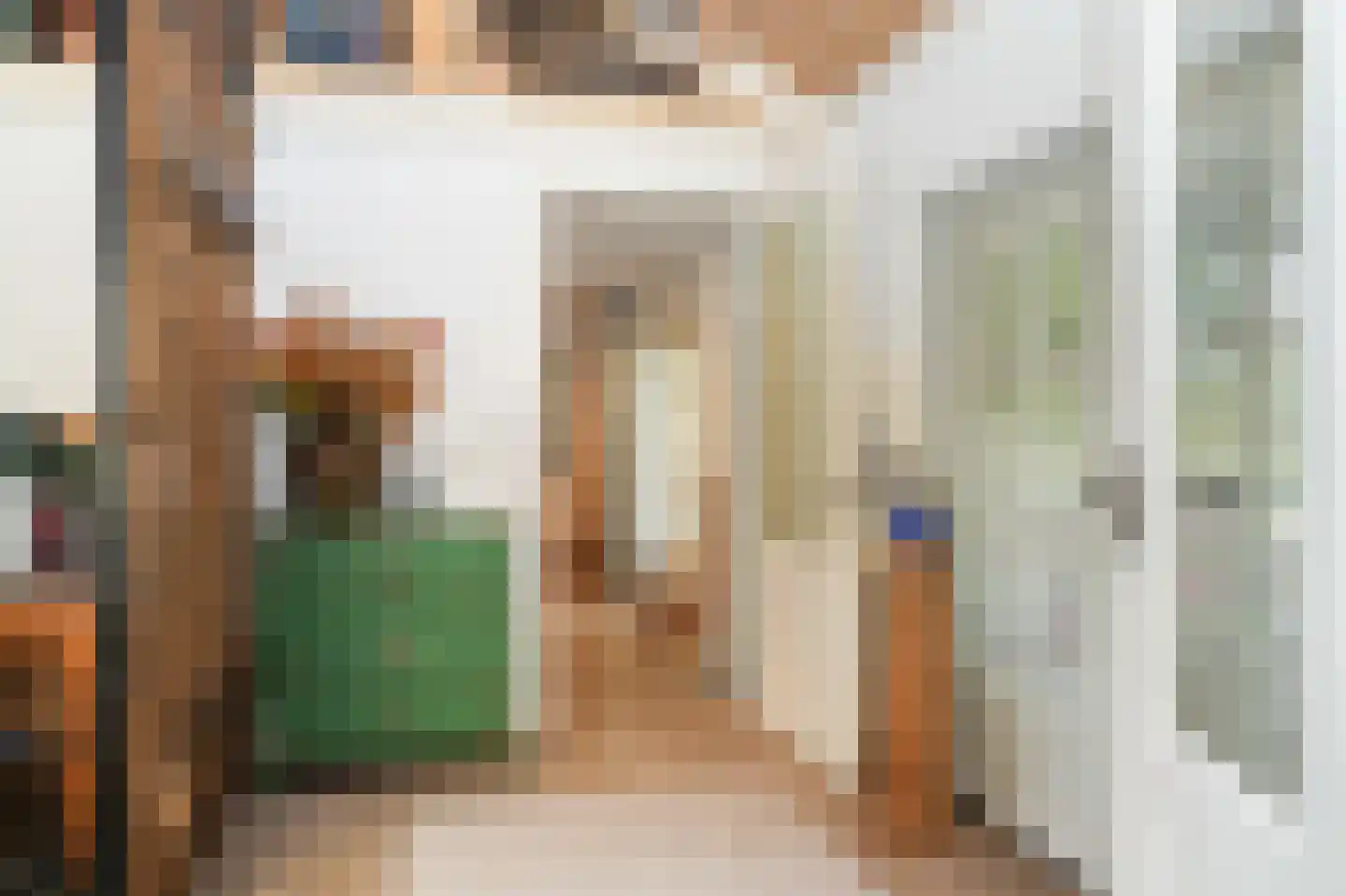 Oetelaarsestraat 4 Schijndel thumbnail 28
