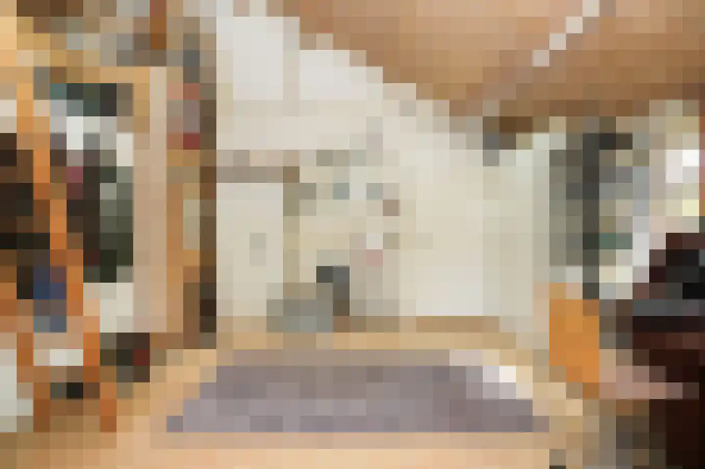 Oetelaarsestraat 4 Schijndel thumbnail 42