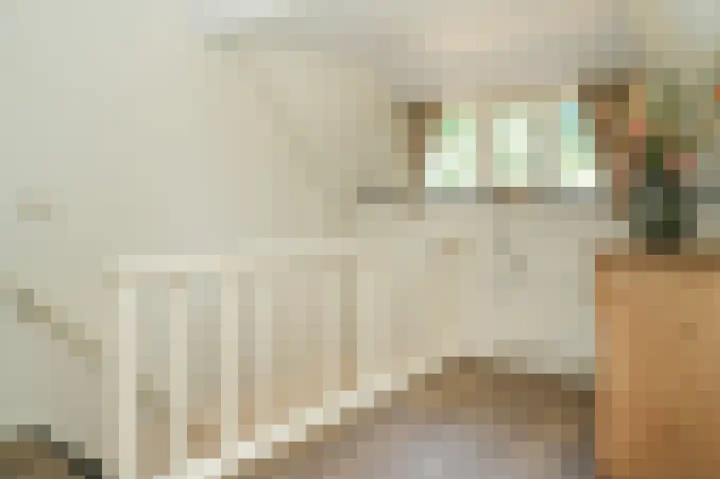 Oetelaarsestraat 4 Schijndel thumbnail 43