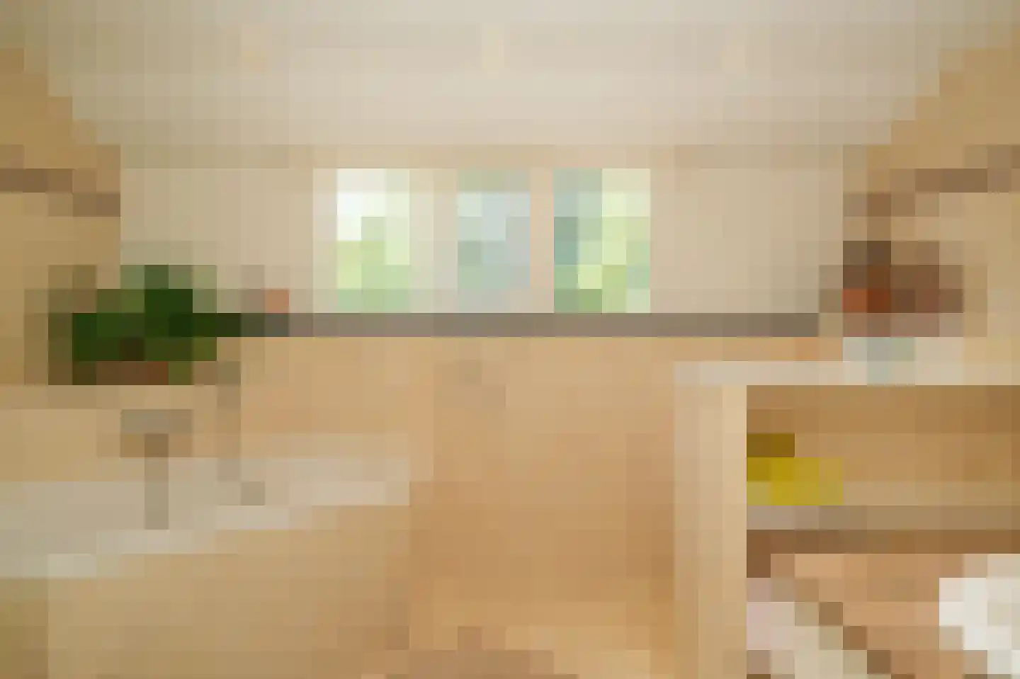 Oetelaarsestraat 4 Schijndel thumbnail 46