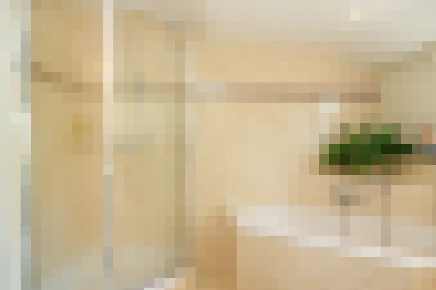 Oetelaarsestraat 4 Schijndel thumbnail 47