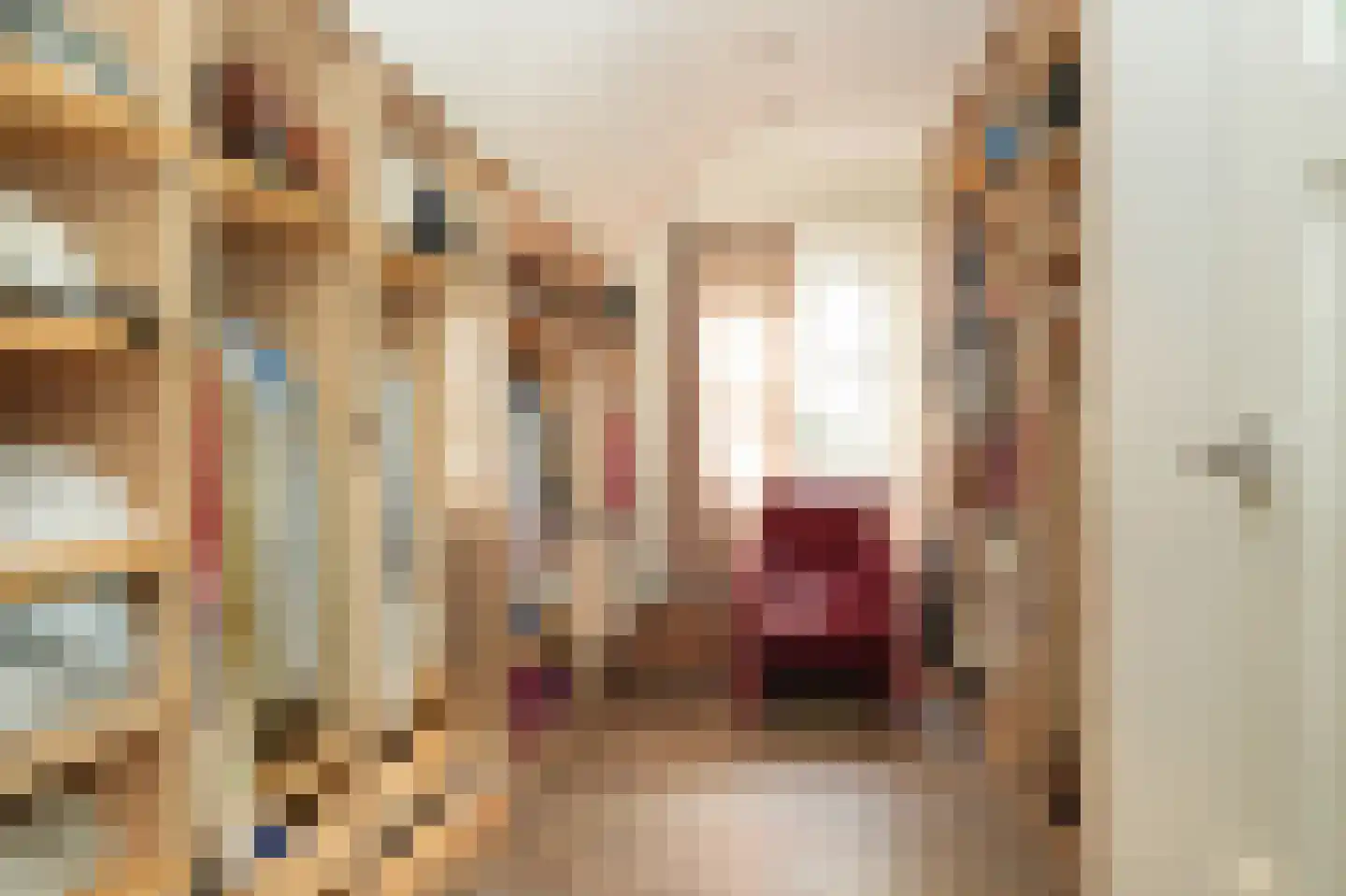 Oetelaarsestraat 4 Schijndel thumbnail 50