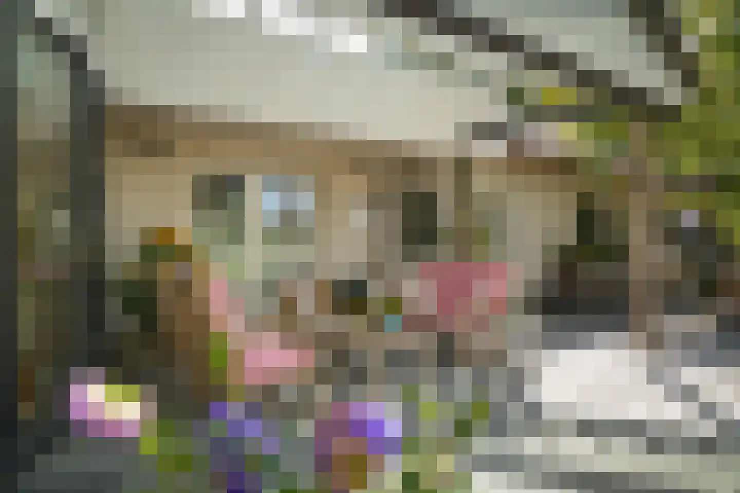 Oetelaarsestraat 4 Schijndel thumbnail 52