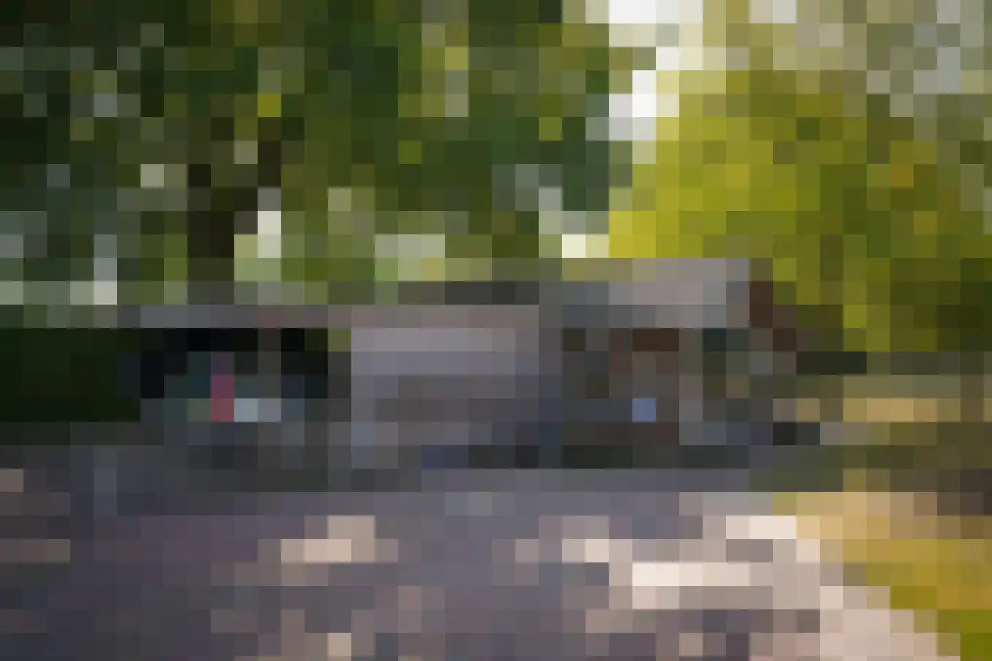 Oetelaarsestraat 4 Schijndel thumbnail 57