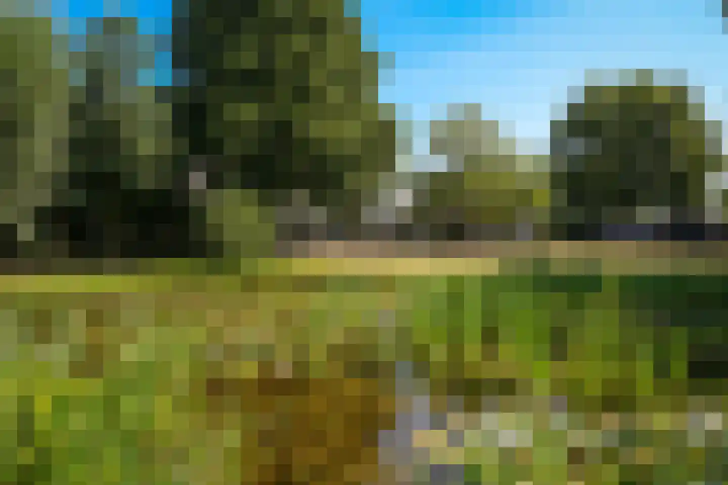 Oetelaarsestraat 4 Schijndel thumbnail 6