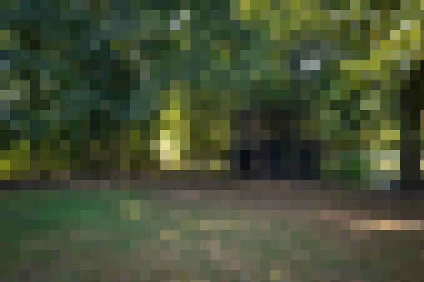 Oetelaarsestraat 4 Schijndel thumbnail 61
