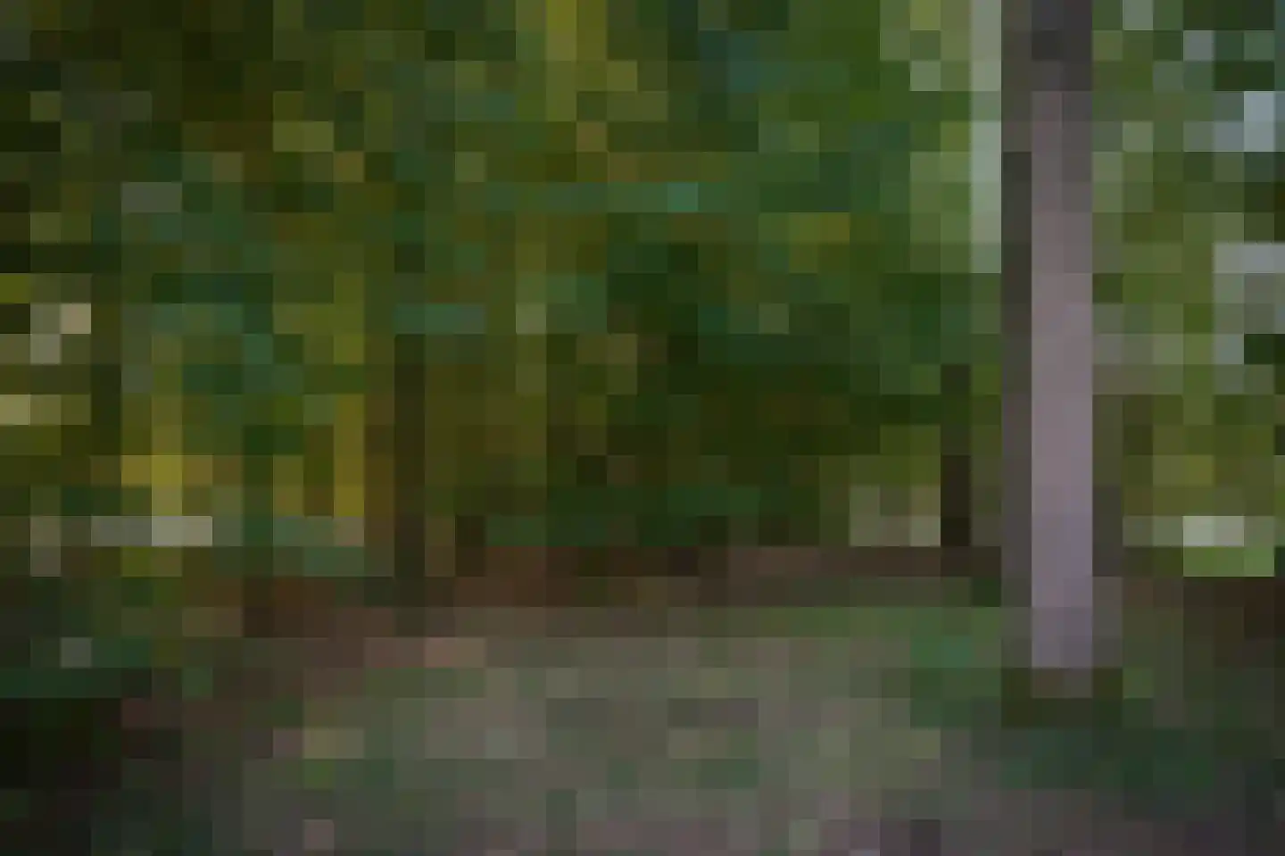 Oetelaarsestraat 4 Schijndel thumbnail 65