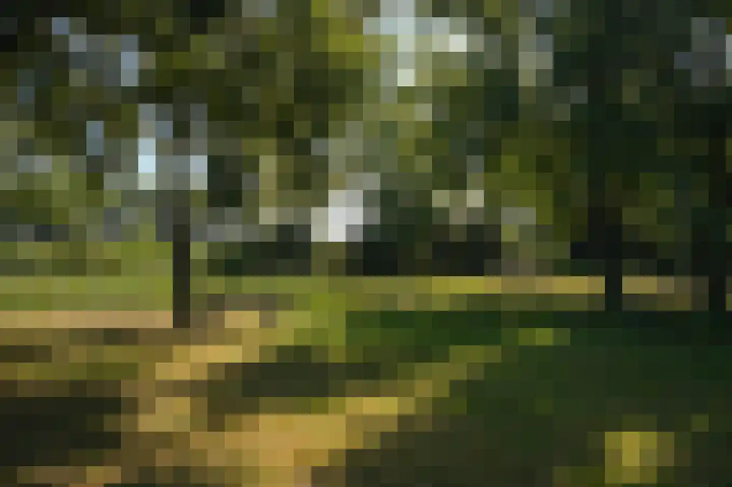 Oetelaarsestraat 4 Schijndel thumbnail 66