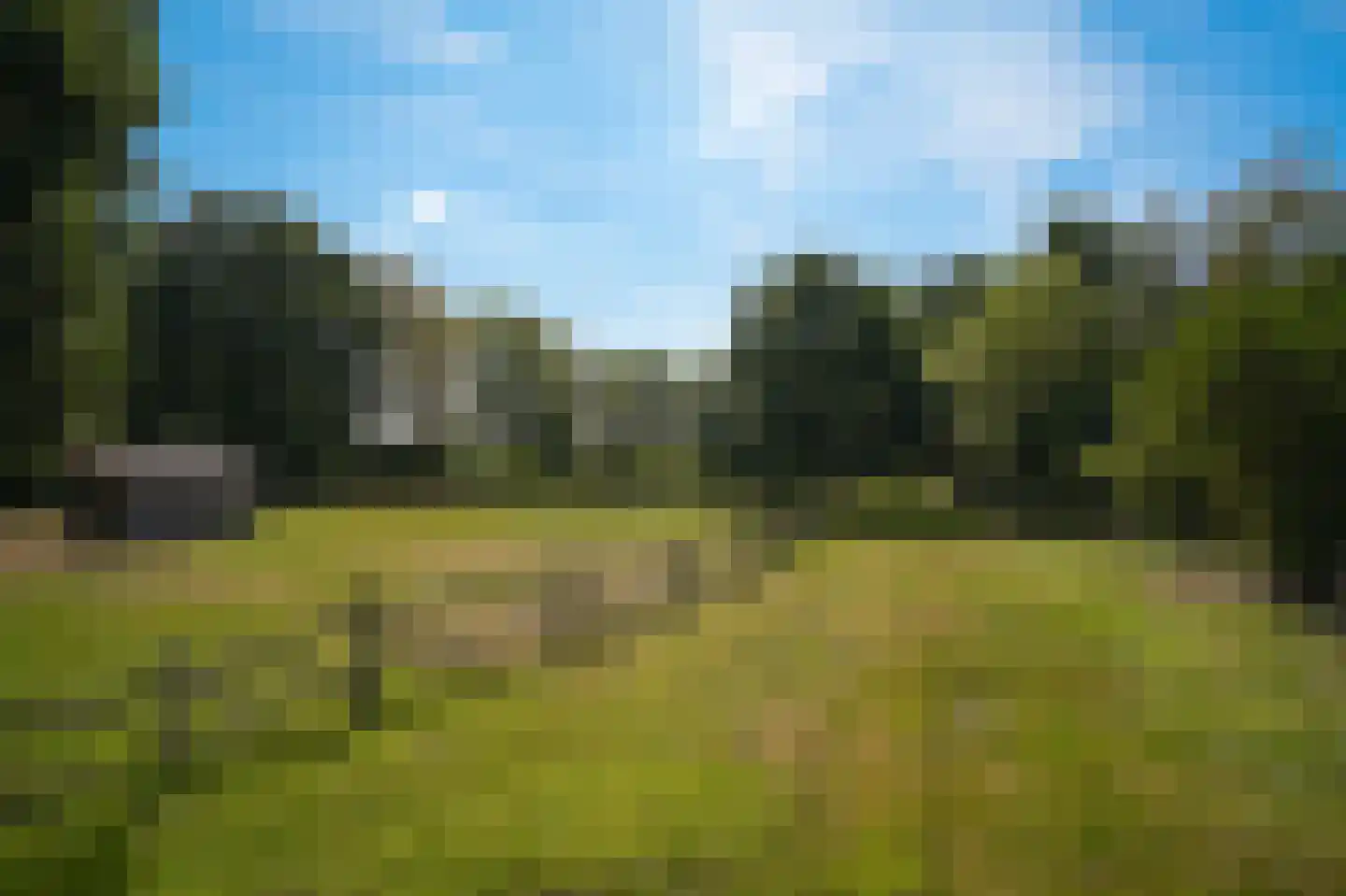 Oetelaarsestraat 4 Schijndel thumbnail 71