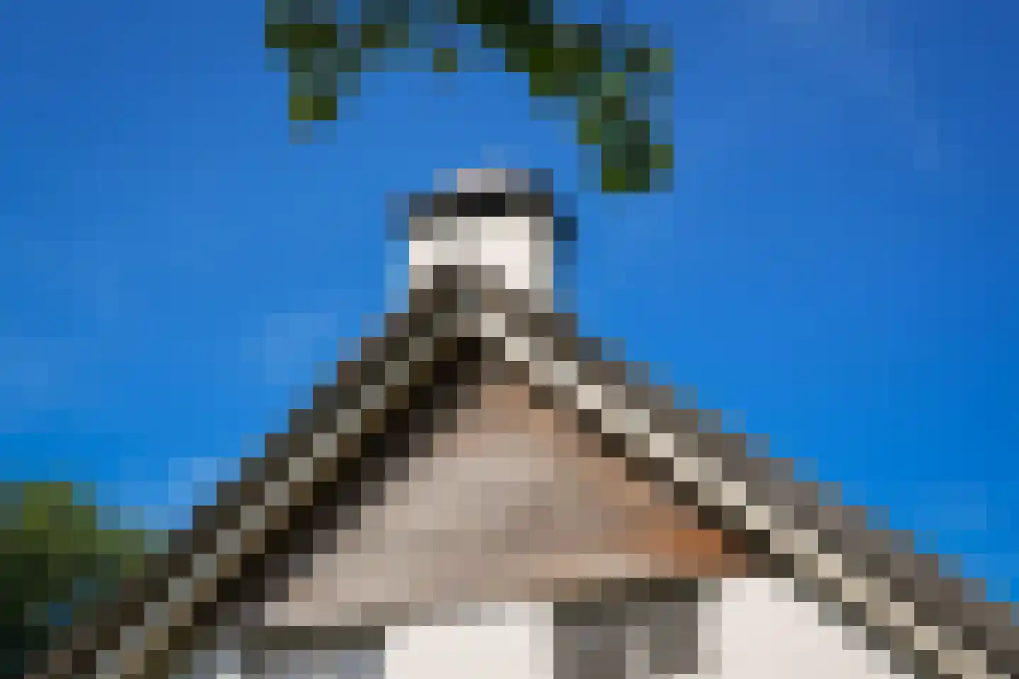 Oetelaarsestraat 4 Schijndel thumbnail 74