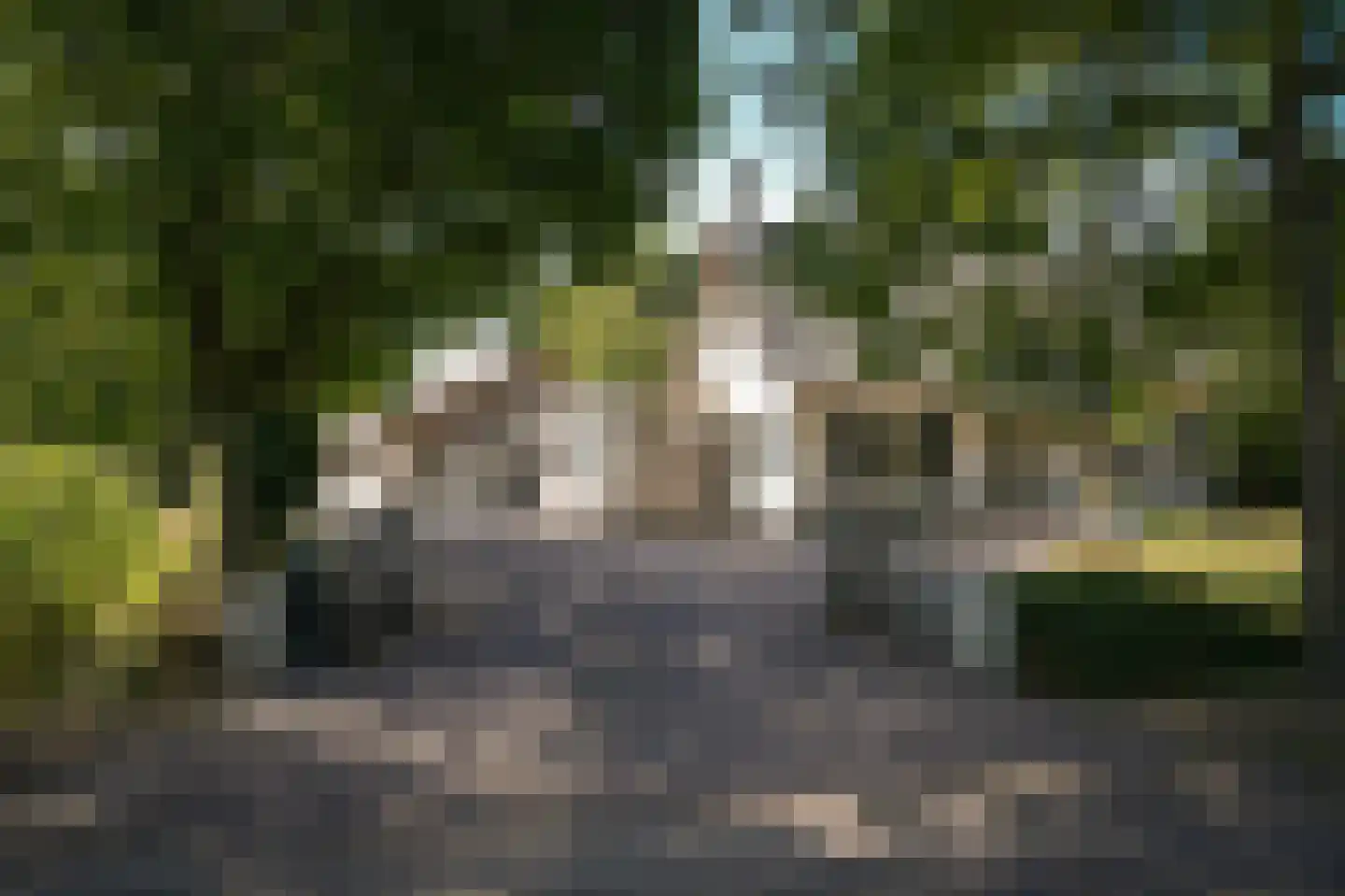 Oetelaarsestraat 4 Schijndel thumbnail 77