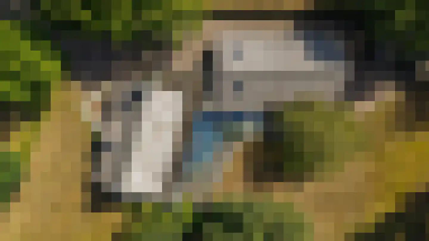 Oetelaarsestraat 4 Schijndel thumbnail 80