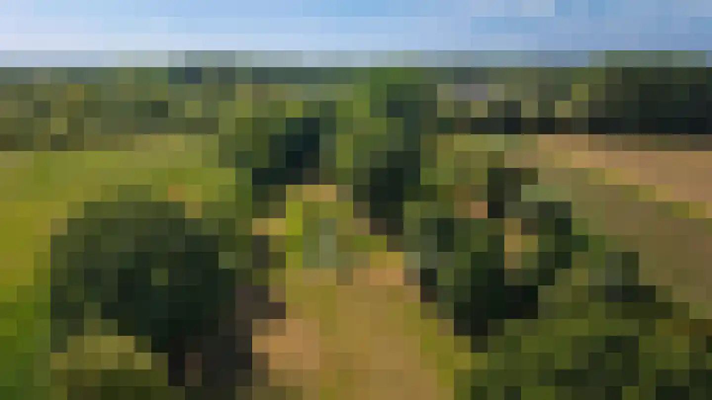 Oetelaarsestraat 4 Schijndel thumbnail 81
