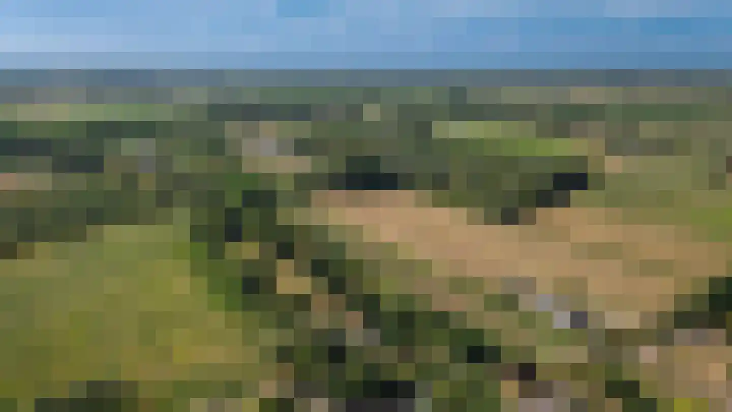 Oetelaarsestraat 4 Schijndel thumbnail 85