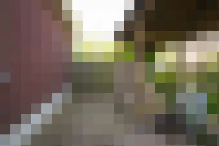Oetelaarsestraat 59 Schijndel thumbnail 54